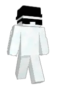 WASDstk