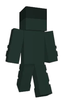 Front of whimez's skin