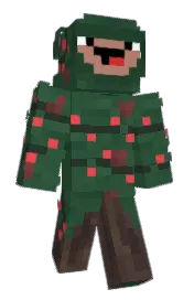 Skin preview