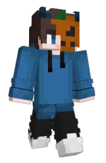 Front of Ntop's skin