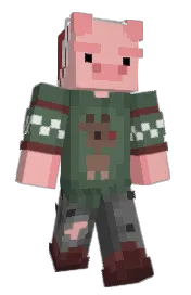 Skin preview