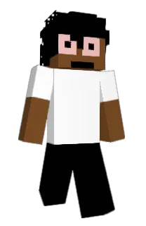 Front of niemamojca's skin