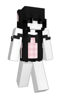 Front of mwip's skin