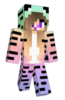 Front of scochin's skin