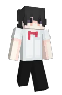 Front of Nachho's skin