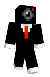 Front of Bussket's skin