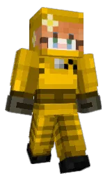 Minecraft skin — Classic model