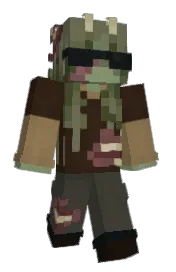 Skin preview