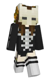 Skin preview