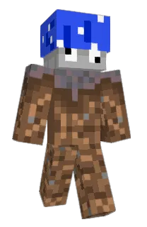 Front of MushroomCZ's skin