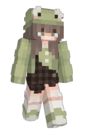 Skin preview