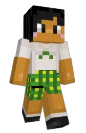 Skin preview