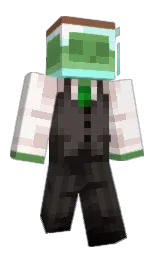 Minecraft skin — Classic model