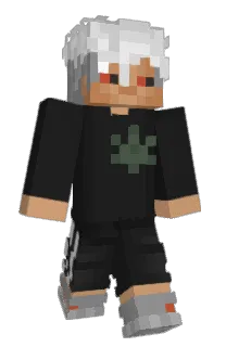 Front of _Z3jarany_'s skin