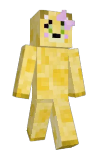 Front of Minecraft skin