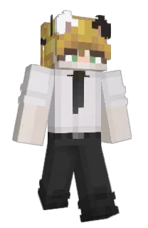 Front of Ciumpalin's skin