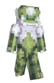 Skin preview