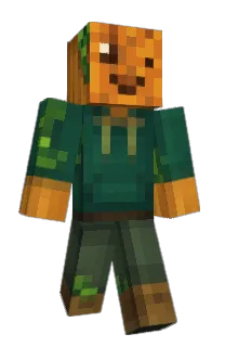 I_Llke_Rocks's Minecraft skin