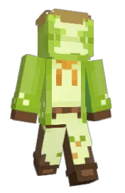 Skin preview