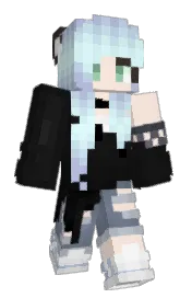 Skin preview
