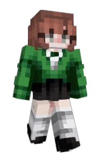 Front of veesune's skin