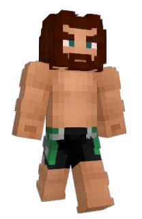 Front of Stegbee's skin