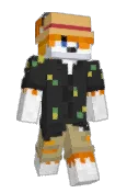 jaumVrr