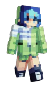 Skin preview