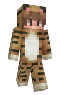 Front of mirrorish's skin