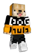 DogSinay