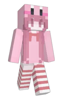 Front of imsck's skin