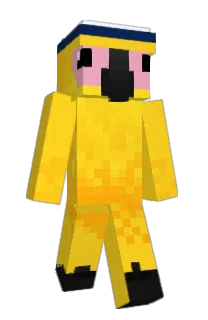 Front of MagnificentMacaw's skin