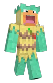 Skin preview