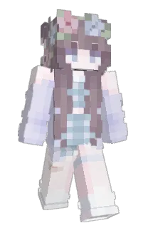 Front of bysw's skin