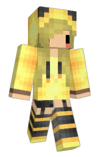Front of hitblocking's skin