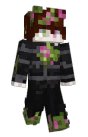 Skin preview