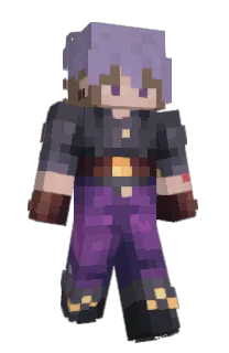 Front of swlem's skin
