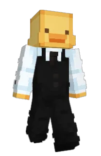 Front of zuckli's skin