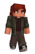 paidi