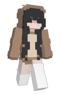 Front of iTeddi's skin