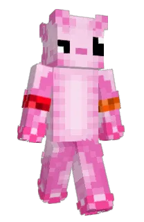 Front of NoobyEsp's skin
