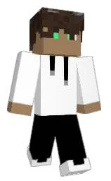 white and black Minecraft skin — Classic model