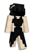 riasrr