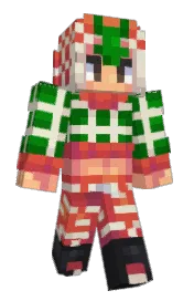 Skin preview