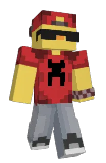 Front of NIX1722's skin