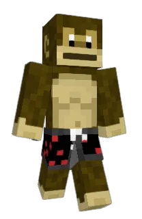 Front of Minecraft skin