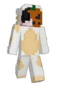 Hamtaroo
