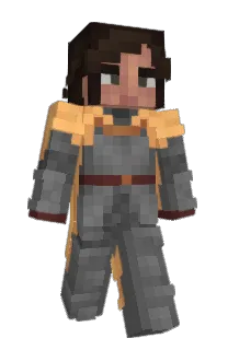 Front of Schnoms's skin