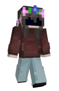 Front of Ir0nSonic306's skin