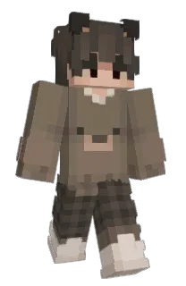 Front of 534's skin